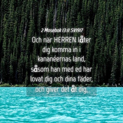 Picture 04 - 2 Mosebok 13:11 SV1917 - Och när HERREN låter dig komma in i - Bible Verse Picture