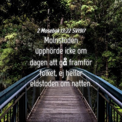 Picture 04 - 2 Mosebok 13:22 SV1917 - Molnstoden upphörde icke om dagen att gå - Bible Verse Picture