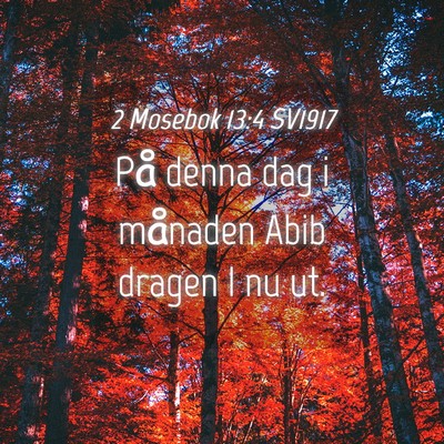 Picture 04 - 2 Mosebok 13:4 SV1917 - På denna dag i månaden Abib dragen I nu - Bible Verse Picture