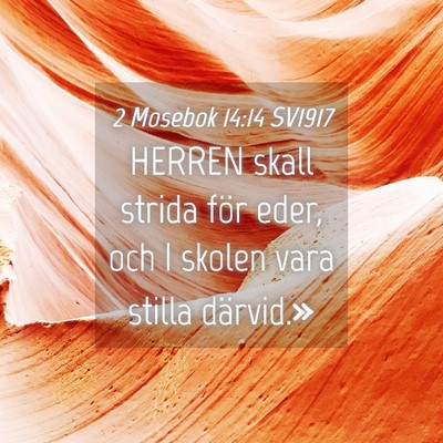Picture 04 - 2 Mosebok 14:14 SV1917 - HERREN skall strida för eder, och I skolen vara - Bible Verse Picture