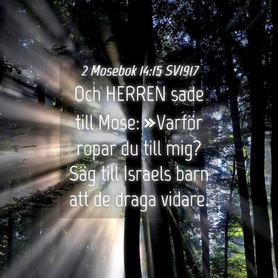 Picture 04 - 2 Mosebok 14:15 SV1917 - Och HERREN sade till Mose: »Varför ropar du - Bible Verse Picture
