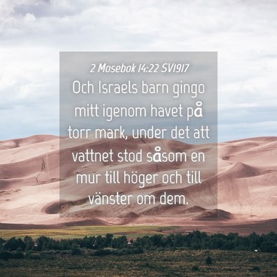 Picture 04 - 2 Mosebok 14:22 SV1917 - Och Israels barn gingo mitt igenom havet på torr - Bible Verse Picture
