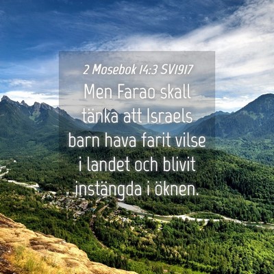Picture 04 - 2 Mosebok 14:3 SV1917 - Men Farao skall tänka att Israels barn hava - Bible Verse Picture