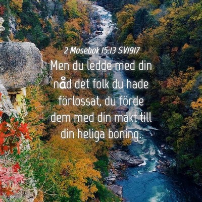 Picture 04 - 2 Mosebok 15:13 SV1917 - Men du ledde med din nåd det folk du hade - Bible Verse Picture