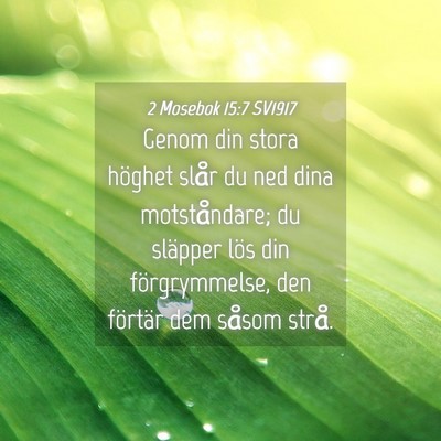 Picture 04 - 2 Mosebok 15:7 SV1917 - Genom din stora höghet slår du ned dina - Bible Verse Picture