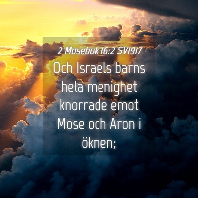 Picture 04 - 2 Mosebok 16:2 SV1917 - Och Israels barns hela menighet knorrade emot - Bible Verse Picture