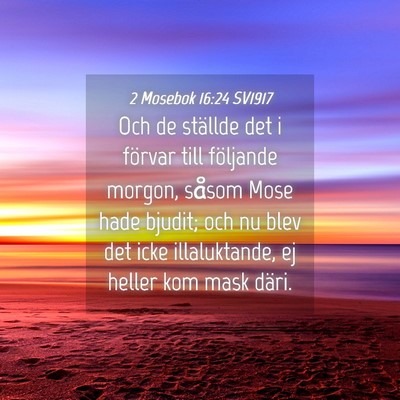 Picture 04 - 2 Mosebok 16:24 SV1917 - Och de ställde det i förvar till följande - Bible Verse Picture