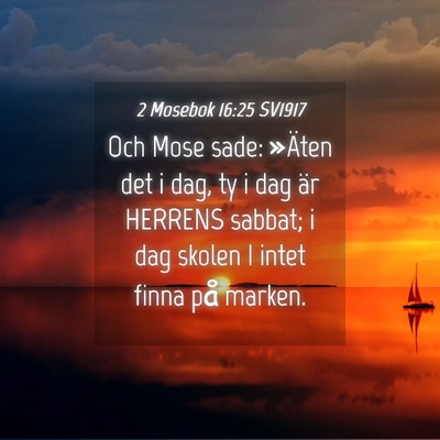 Picture 04 - 2 Mosebok 16:25 SV1917 - Och Mose sade: »Äten det i dag, ty i dag är - Bible Verse Picture