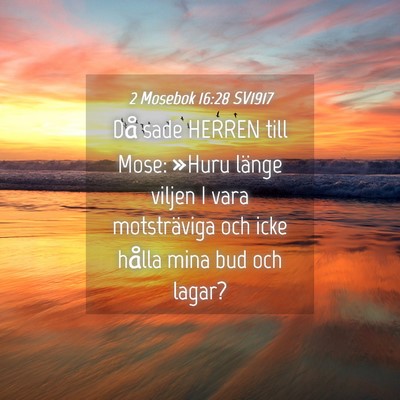 Picture 04 - 2 Mosebok 16:28 SV1917 - Då sade HERREN till Mose: »Huru länge viljen I - Bible Verse Picture