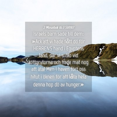 Picture 04 - 2 Mosebok 16:3 SV1917 - Israels barn sade till dem: »Ack att vi hade - Bible Verse Picture