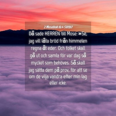 Picture 04 - 2 Mosebok 16:4 SV1917 - Då sade HERREN till Mose: »Se, jag vill låta - Bible Verse Picture
