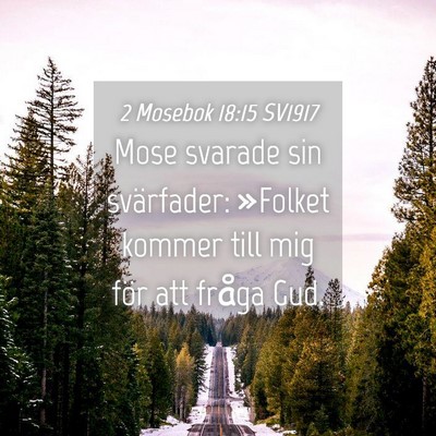 Picture 04 - 2 Mosebok 18:15 SV1917 - Mose svarade sin svärfader: »Folket kommer till - Bible Verse Picture