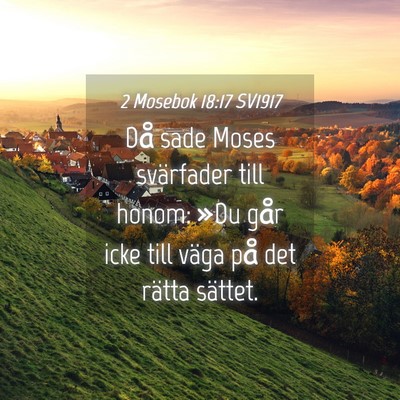 Picture 04 - 2 Mosebok 18:17 SV1917 - Då sade Moses svärfader till honom: »Du går - Bible Verse Picture