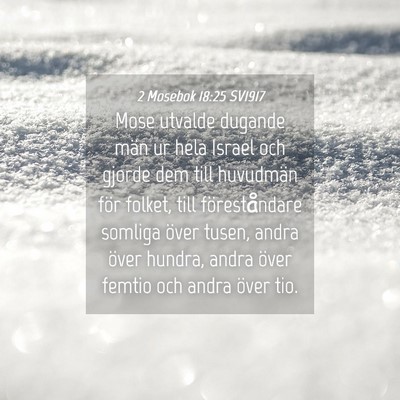 Picture 04 - 2 Mosebok 18:25 SV1917 - Mose utvalde dugande män ur hela Israel och - Bible Verse Picture