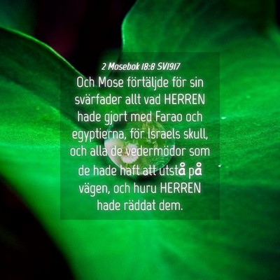 Picture 04 - 2 Mosebok 18:8 SV1917 - Och Mose förtäljde för sin svärfader allt vad - Bible Verse Picture