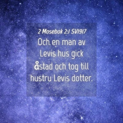 Picture 04 - 2 Mosebok 2:1 SV1917 - Och en man av Levis hus gick åstad och tog till - Bible Verse Picture