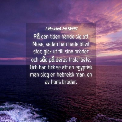 Picture 04 - 2 Mosebok 2:11 SV1917 - På den tiden hände sig att Mose, sedan han hade - Bible Verse Picture