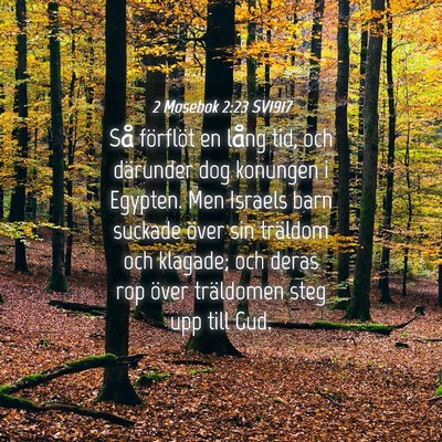 Picture 04 - 2 Mosebok 2:23 SV1917 - Så förflöt en lång tid, och därunder dog - Bible Verse Picture