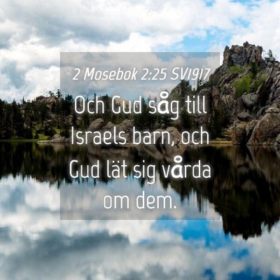 Picture 04 - 2 Mosebok 2:25 SV1917 - Och Gud såg till Israels barn, och Gud lät sig - Bible Verse Picture