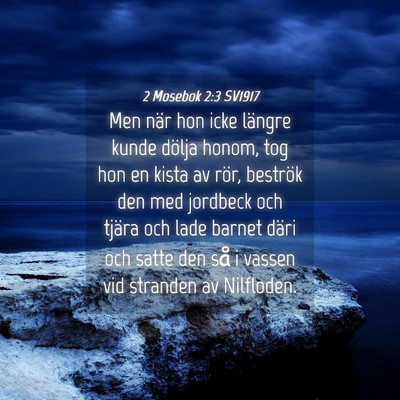 Picture 04 - 2 Mosebok 2:3 SV1917 - Men när hon icke längre kunde dölja honom, tog - Bible Verse Picture
