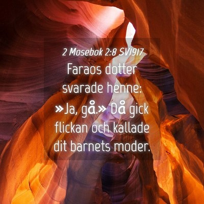 Picture 04 - 2 Mosebok 2:8 SV1917 - Faraos dotter svarade henne: »Ja, gå.» Då - Bible Verse Picture