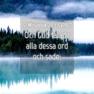 Picture 04 - 2 Mosebok 20:1 SV1917 - Och Gud talade alla dessa ord och - Bible Verse Picture