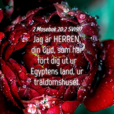 Picture 04 - 2 Mosebok 20:2 SV1917 - Jag är HERREN, din Gud, som har fört dig ut ur - Bible Verse Picture