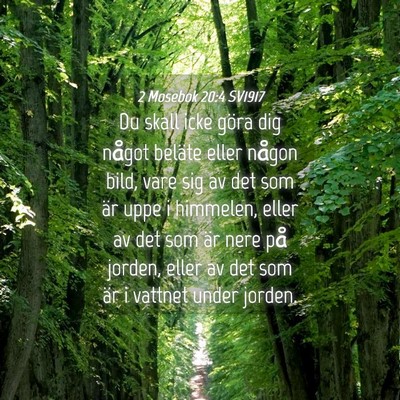 Picture 04 - 2 Mosebok 20:4 SV1917 - Du skall icke göra dig något beläte eller - Bible Verse Picture