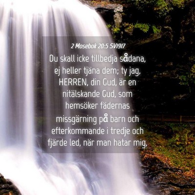 Picture 04 - 2 Mosebok 20:5 SV1917 - Du skall icke tillbedja sådana, ej heller tjäna - Bible Verse Picture