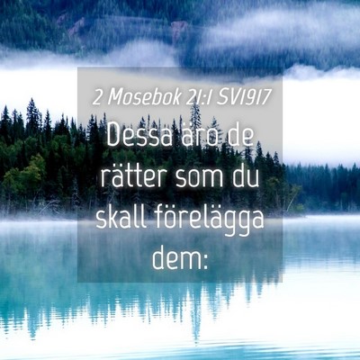 Picture 04 - 2 Mosebok 21:1 SV1917 - Dessa äro de rätter som du skall förelägga - Bible Verse Picture