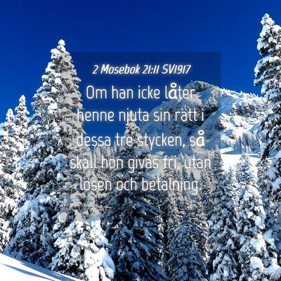Picture 04 - 2 Mosebok 21:11 SV1917 - Om han icke låter henne njuta sin rätt i dessa - Bible Verse Picture