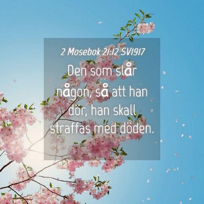 Picture 04 - 2 Mosebok 21:12 SV1917 - Den som slår någon, så att han dör, han skall - Bible Verse Picture