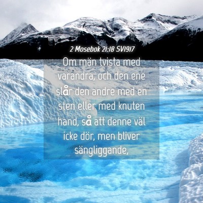 Picture 04 - 2 Mosebok 21:18 SV1917 - Om män tvista med varandra, och den ene slår - Bible Verse Picture
