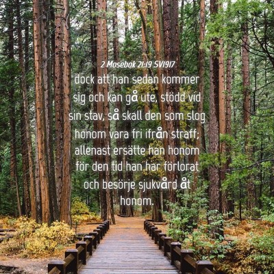 Picture 04 - 2 Mosebok 21:19 SV1917 - dock att han sedan kommer sig och kan gå ute, - Bible Verse Picture