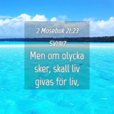 Picture 04 - 2 Mosebok 21:23 SV1917 - Men om olycka sker, skall liv givas för - Bible Verse Picture