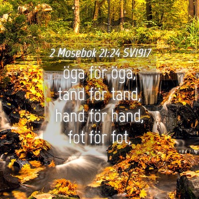 Picture 04 - 2 Mosebok 21:24 SV1917 - öga för öga, tand för tand, hand för hand, - Bible Verse Picture