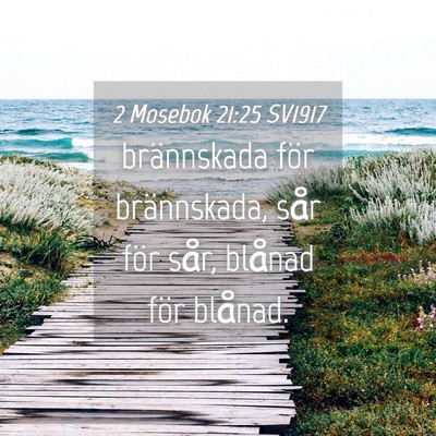Picture 04 - 2 Mosebok 21:25 SV1917 - brännskada för brännskada, sår för sår, - Bible Verse Picture