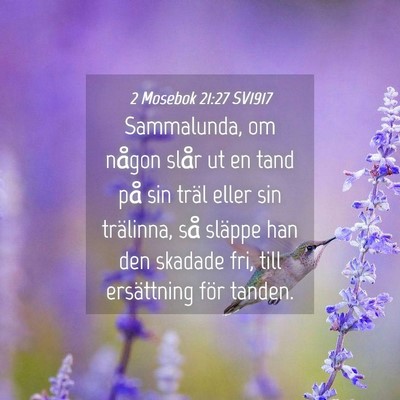 Picture 04 - 2 Mosebok 21:27 SV1917 - Sammalunda, om någon slår ut en tand på sin - Bible Verse Picture