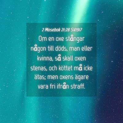 Picture 04 - 2 Mosebok 21:28 SV1917 - Om en oxe stångar någon till döds, man eller - Bible Verse Picture