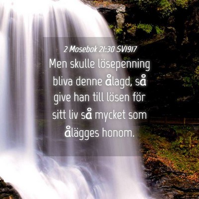 Picture 04 - 2 Mosebok 21:30 SV1917 - Men skulle lösepenning bliva denne ålagd, så - Bible Verse Picture