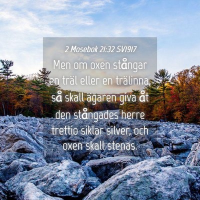 Picture 04 - 2 Mosebok 21:32 SV1917 - Men om oxen stångar en träl eller en trälinna, - Bible Verse Picture