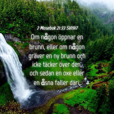 Picture 04 - 2 Mosebok 21:33 SV1917 - Om någon öppnar en brunn, eller om någon - Bible Verse Picture