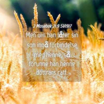 Picture 04 - 2 Mosebok 21:9 SV1917 - Men om han låter sin son ingå förbindelse med - Bible Verse Picture