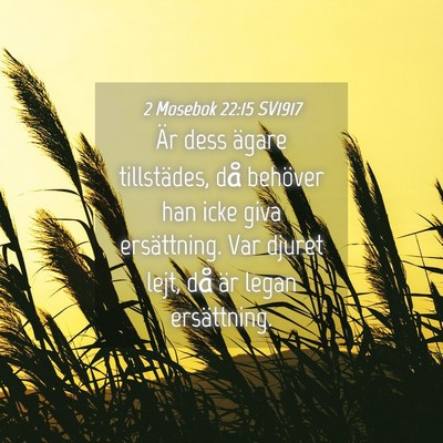 Picture 04 - 2 Mosebok 22:15 SV1917 - Är dess ägare tillstädes, då behöver han - Bible Verse Picture