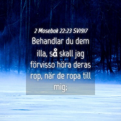 Picture 04 - 2 Mosebok 22:23 SV1917 - Behandlar du dem illa, så skall jag förvisso - Bible Verse Picture