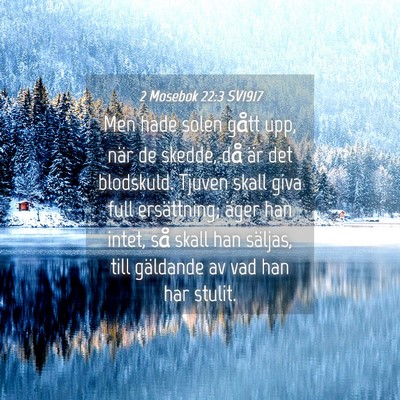 Picture 04 - 2 Mosebok 22:3 SV1917 - Men hade solen gått upp, när de skedde, då är - Bible Verse Picture