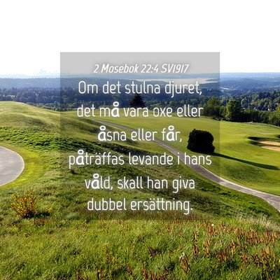 Picture 04 - 2 Mosebok 22:4 SV1917 - Om det stulna djuret, det må vara oxe eller - Bible Verse Picture