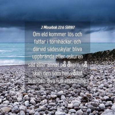 Picture 04 - 2 Mosebok 22:6 SV1917 - Om eld kommer lös och fattar i törnhäckar, och - Bible Verse Picture