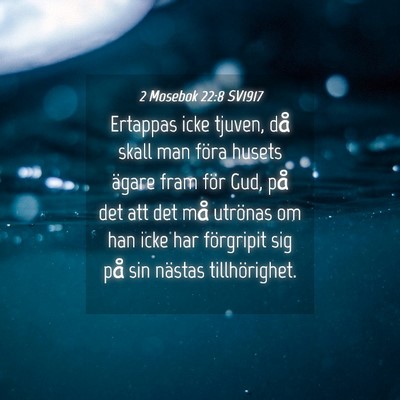 Picture 04 - 2 Mosebok 22:8 SV1917 - Ertappas icke tjuven, då skall man föra husets - Bible Verse Picture