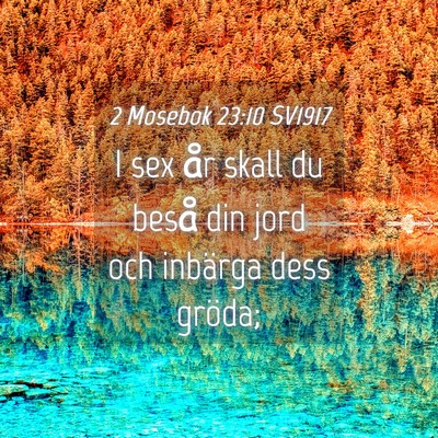 Picture 04 - 2 Mosebok 23:10 SV1917 - I sex år skall du beså din jord och inbärga - Bible Verse Picture